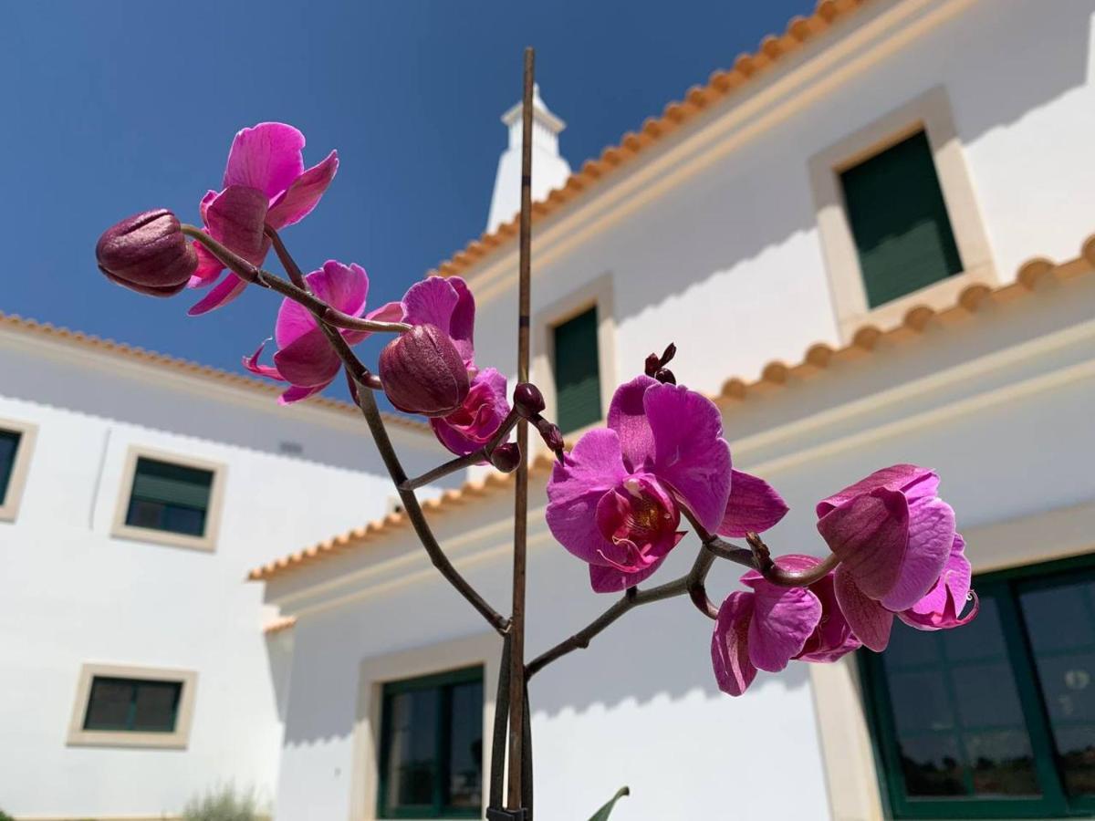 Casa Mineira Guest House Ferreiras Esterno foto